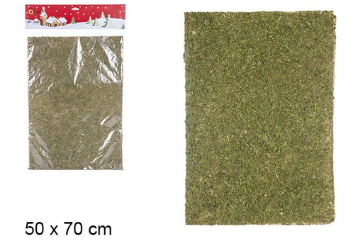 [106252] Green moss soil 50x70 cm