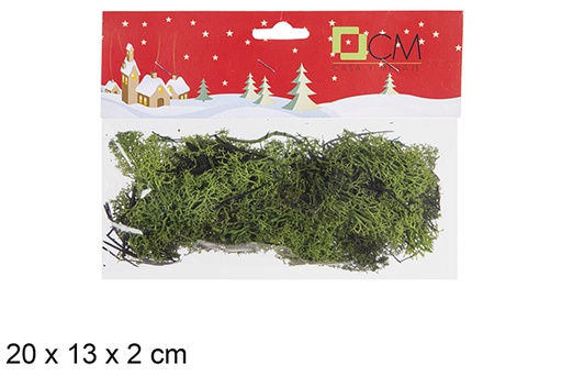 [107381] Mousse de lichen vert clair en sachet 20x13 cm