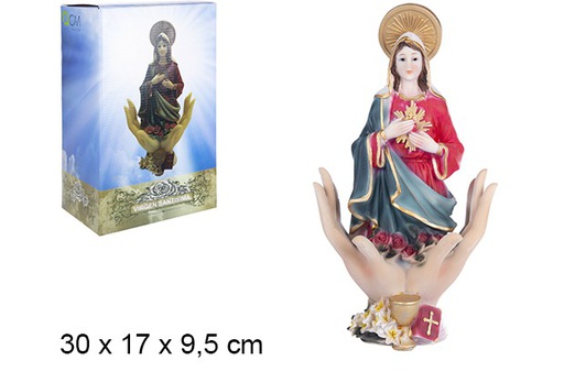 [107841] Santa Vergine 30 cm
