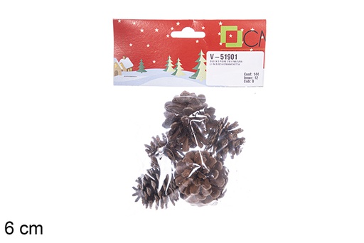 [113792] Pack 5 natural pine cones 6 cm