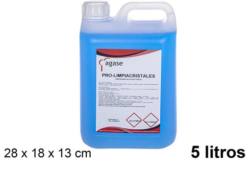 [114436] Multipurpose glass cleaner pro 5 l.