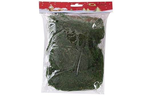 [117914] Green moss in blister