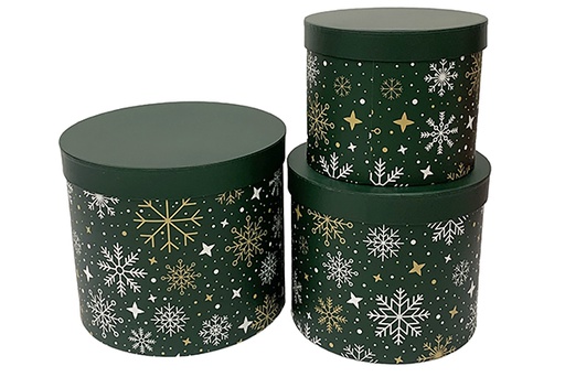 [123970] Pack 3 boîtes en carton de Noël décorées 23x19.5 cm-3