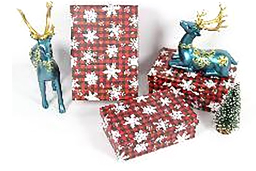 [123978] Pack 3 decorated Christmas cardboard boxes 23x16x9.5 cm-4