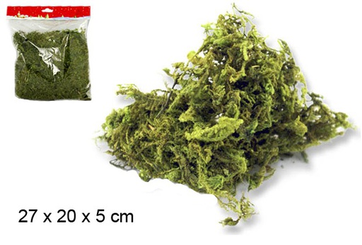 [104467] Large moss in bag 27x20x5 cm